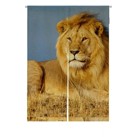 GCKG African Liond Doorway Curtain Japanese Noren Curtains Door Curtain Entrance Curtain Size 85x120cm