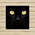 thumbnail image 1 of GCKG Black Cat in The Dark Hand Towel,Spa Towel,Beach Bath Towels,Bathroom Body Shower Towel Bath Wrap Size 13x13 inches, 1 of 4