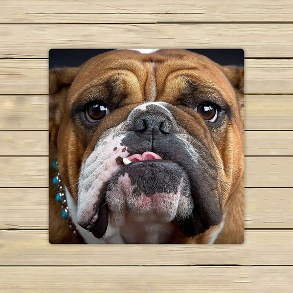GCKG Bulldog Hand Towel,Spa Towel,Beach Bath Towels,Bathroom Body Shower Towel Bath Wrap Size 13x13 inches