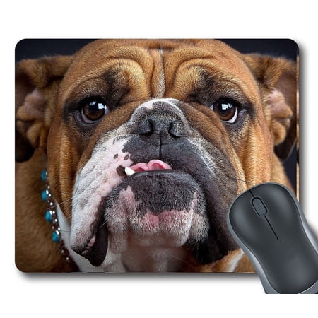 GCKG Bulldog Mouse Pad Personalized Unique Rectangle Gaming Mousepad 9.84"(L) x 7.87"(W)