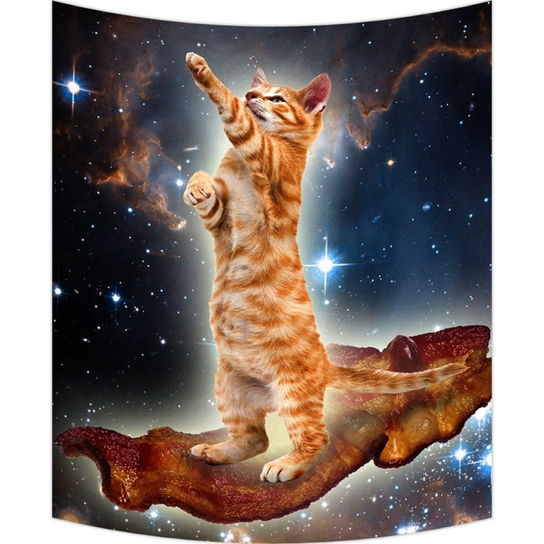 GCKG Funny Bacon Cat in Space Pattern Wall Art Tapestries Home Decor Wall Hanging Tapestry Size 40 x60 Walmart