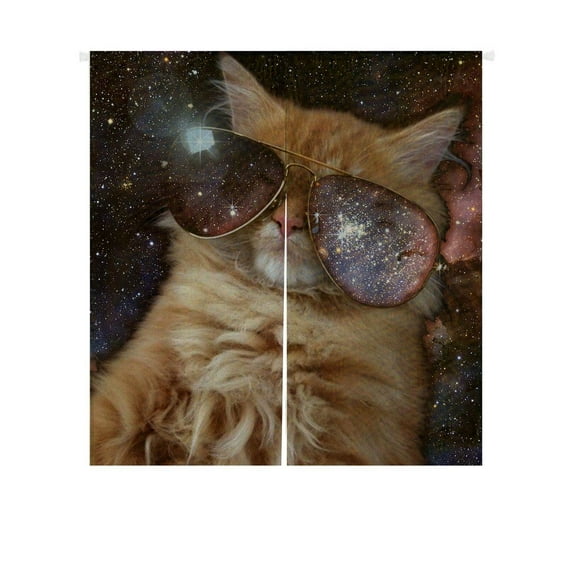 GCKG Star Galaxy Outer Space Cool Sunglass Cat Doorway Curtain Japanese Noren Curtains Door Curtain Entrance Curtain Size 85x90 CM