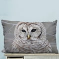 thumbnail image 1 of GCKG White Cute Owl Perch On Tree Pillow Case Pillow Cover Pillow Protector Two Sides 20 x 30 Inches, 1 of 2