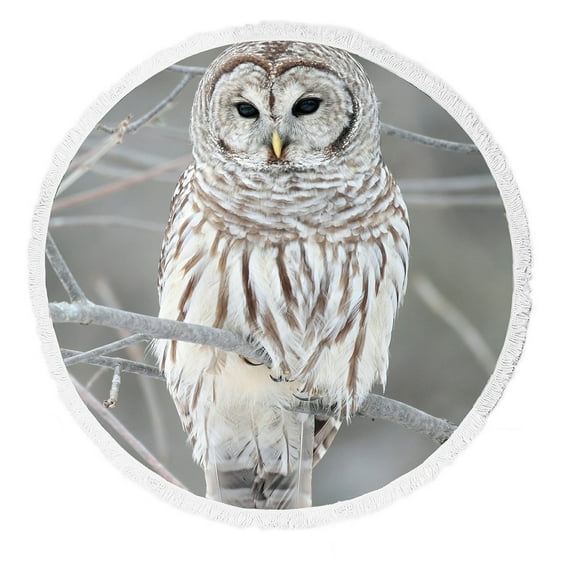 GCKG White Cute Owl Perch On Tree Round Beach Towel Beach Mats Beach Shawl Beach Blanket Beach Throw Towel Yoga Mat