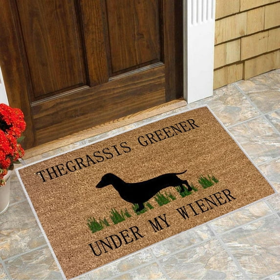 GDDTOY Cute And Funny Dog Welcome Mat For Doorway Decorative Mat For Bedroom Living Room (1PC) Carpet Indoor Outdoor Carpet Polyester Fabric