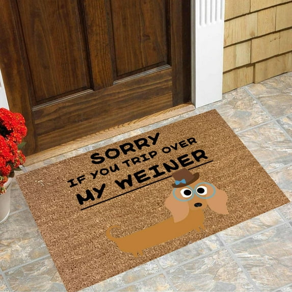 GDDTOY Cute And Funny Dog Welcome Mat For Doorway Decorative Mat For Bedroom Living Room (1PC) Carpet Indoor Outdoor Carpet Polyester Fabric