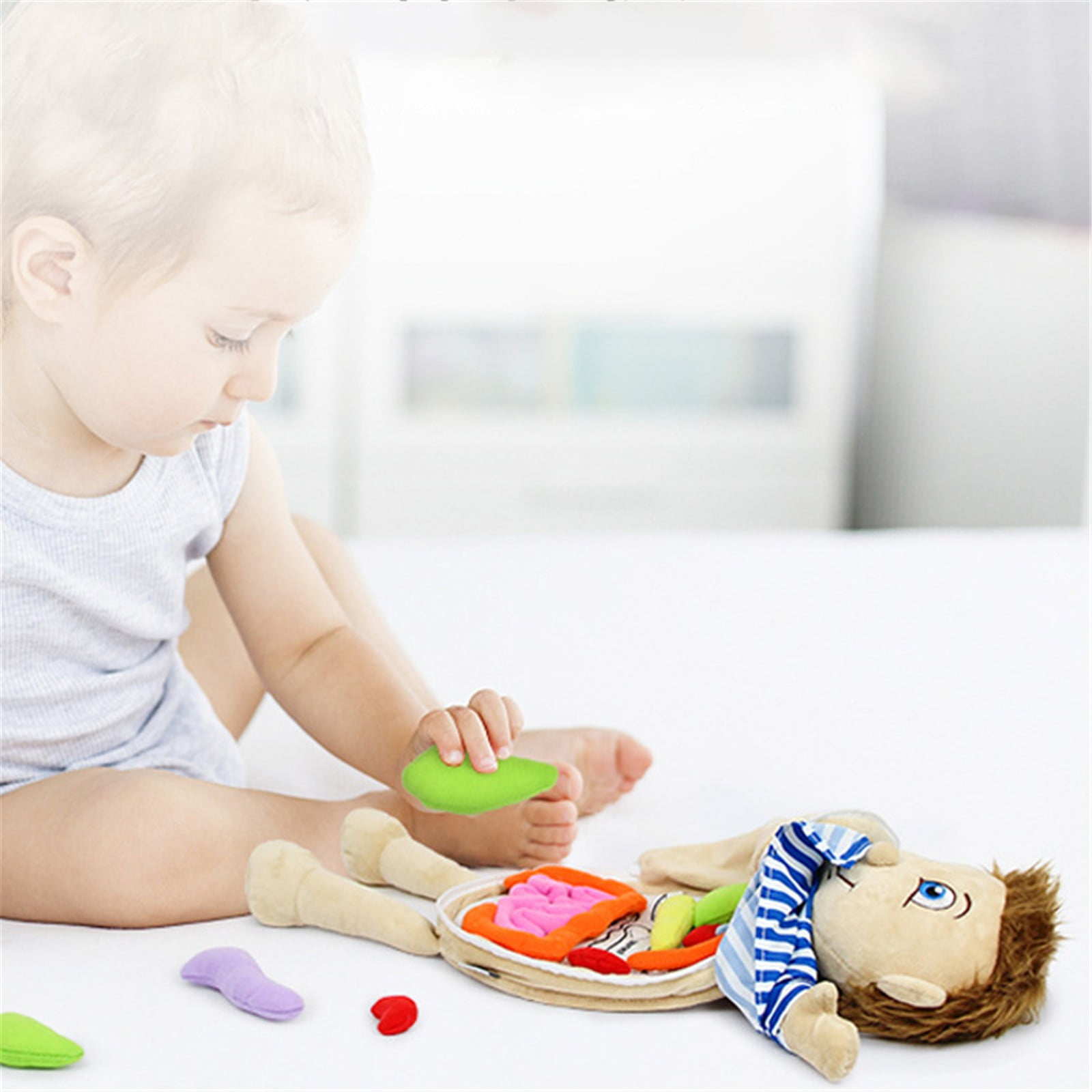 GDDTOY Human Body Anatomy Toy Kid Preschool Educational Organ Plush