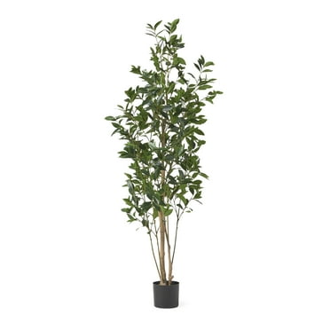 GDF Studio Atoka 6' x 2.5' Artificial Laurel Tree, Green