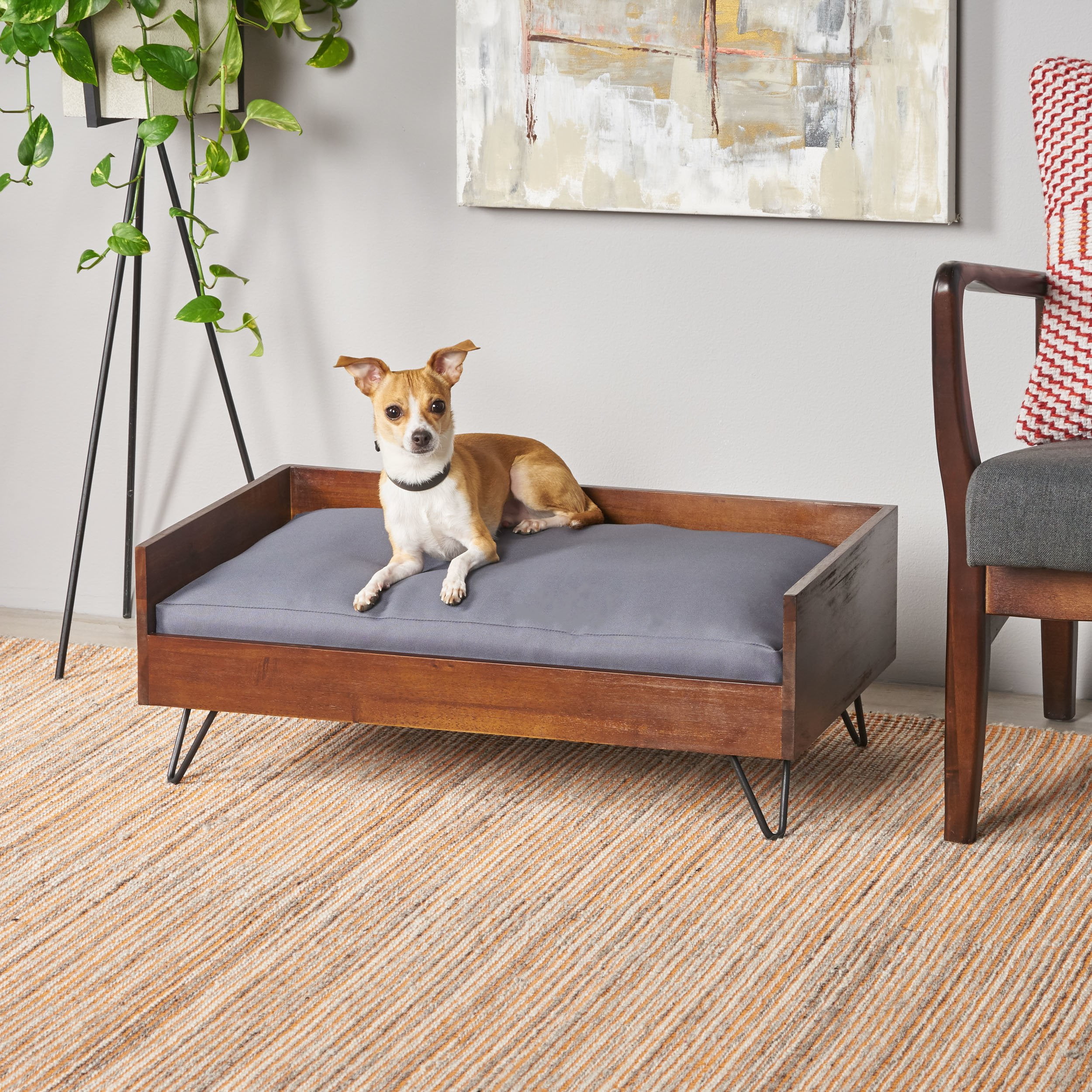 Mid-Century Modern Light Gray Acacia Wood Pet Bed with Cushion