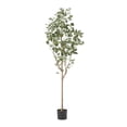 thumbnail image 1 of Adair Artificial Tabletop Eucalyptus Tree Green, 1 of 4