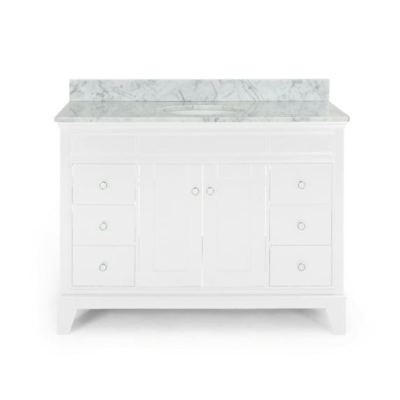 GDF Studio Neil Contemporary 48" Wood Single Sink Bathroom Vanity W/ Marble Counter Top