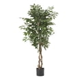 thumbnail image 1 of GDF Studio Wasco Artificial Ficus Tree, 5' x 2.5', Green, 1 of 4