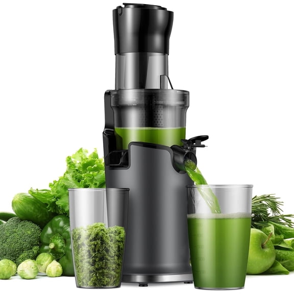 SHARDOR Cold Press Juicer Machines, Masticating Juicer Extractor with 3.5 Inch Feed Chute, Slow Juicer With High Yield, Easy to Clean,Grey
