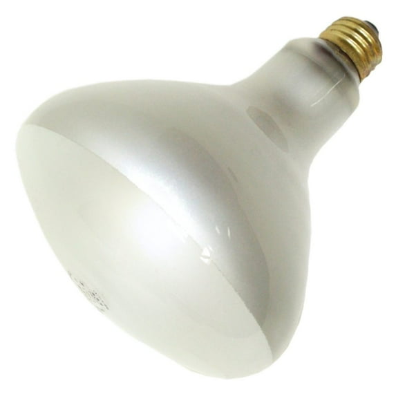 GE 30281 - EAL Reflector Flood Light Bulb