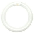 thumbnail image 1 of GE 33774 Garage & Basement T9 Circline Fluorescent Bulb, Cool White, 8", 22W, Each, 1 of 1