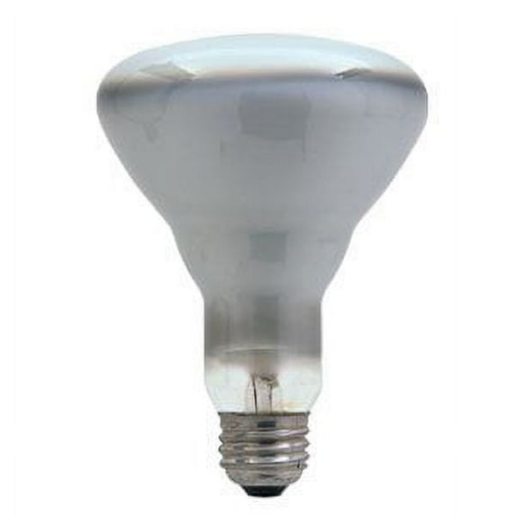 GE 80939 65BR30/FL/TRAY-3P