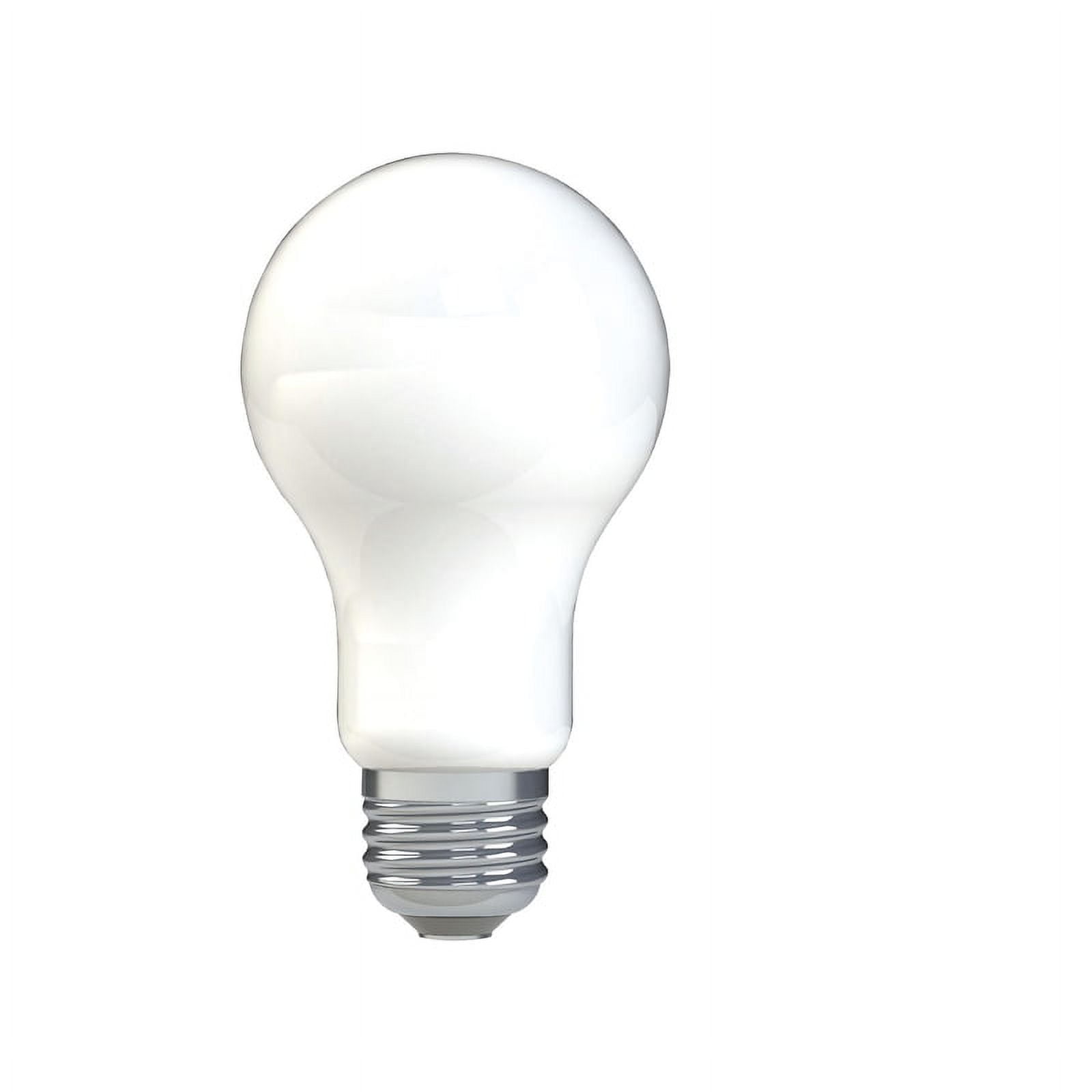 GE 100W Equivalent Daylight Frosted LED A21 Bulbs, 2-Pack
