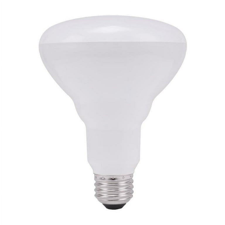 6 Pack - GE Indoor 65 Watt Floodlight Bulb, Soft White 1 ea 6 Pack - GE Indoor 65 Watt Floodlight Bulb, Soft White 1 ea