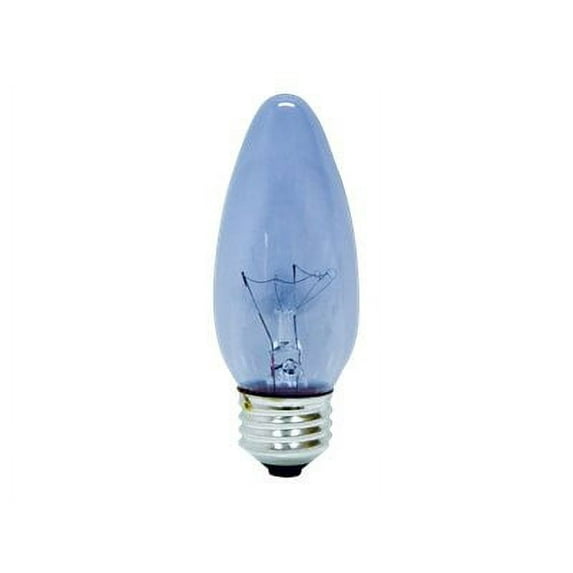 G E LIGHTING Reveal 60-Watt Clear Decorative Bulbs, 2-Pack 48713
