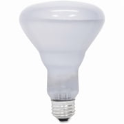 GE Lighting Reveal 65-watt R30 Floodlight, 1 Each (Quantity)