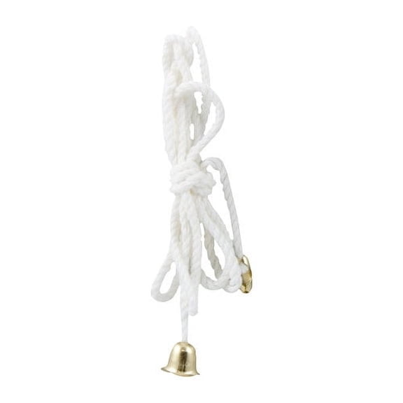 GE Pull-Chain Canopy Switch