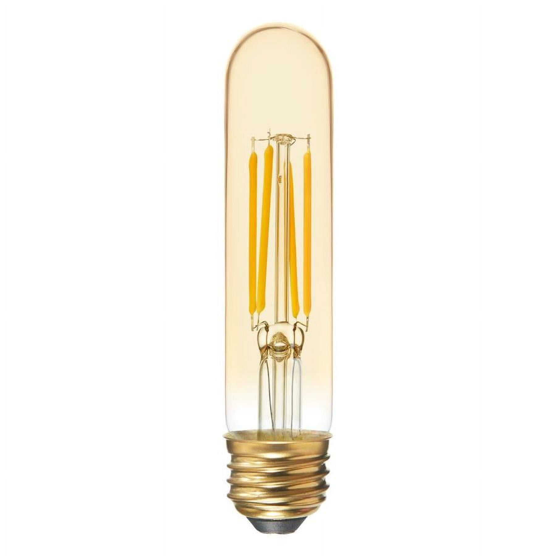 GE Vintage 60 W Equivalent Dimmable Soft White T9 Vintage LED Light Fixture Light Bulb