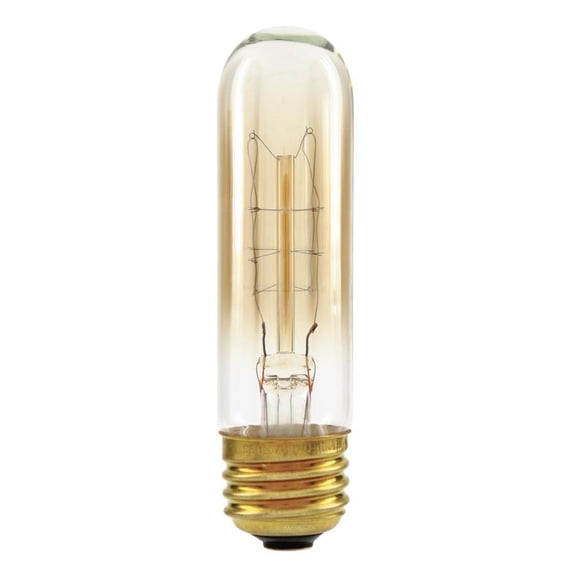 GE Vintage 60-Watt Dimmable Soft White T9 Vintage Incandescent Light Fixture Light Bulb