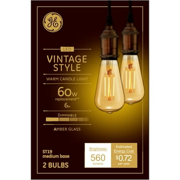 GE Vintage Style LED Light Bulbs, 60 Watt, ST19 Edison Bulbs, Medium Base, 2pk