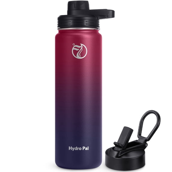 GEDUX 24oz Insulated Stainless Steel Water Bottle with 2 Leak Proof Lids (Spout Lid and Straw Lid) Wide Mouth for Sports and Travel