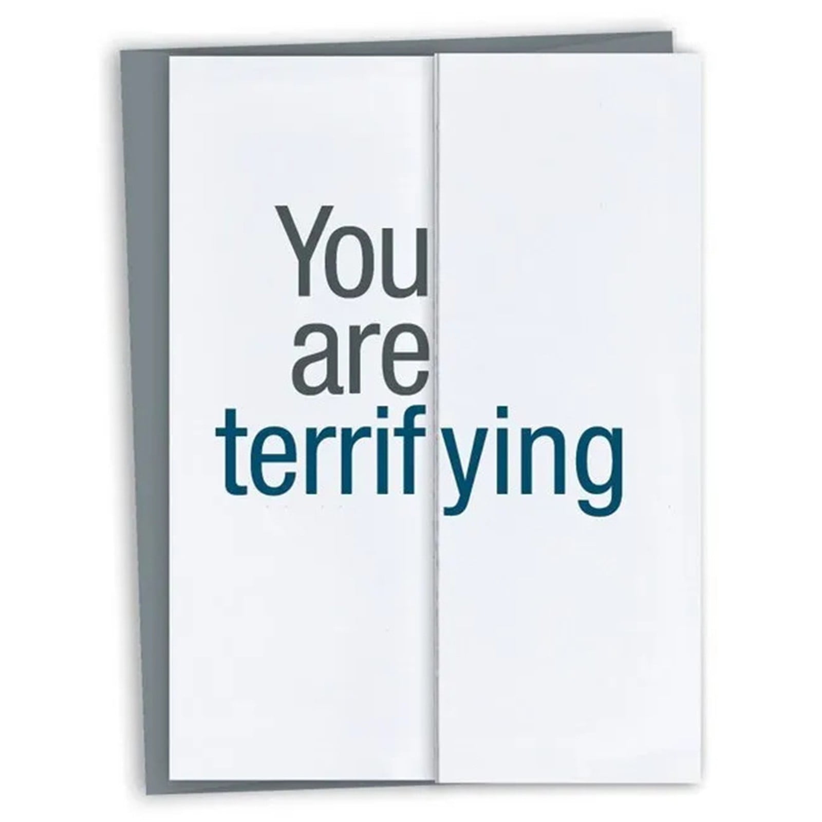 GEGNXA Funny Christmas Card / Santa Hates You Card Funny Holiday Card ...