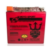 GEL YTX14-BS Battery For Honda FourTrax Rancher Foreman Rubicon V-ROD VRSC VT750