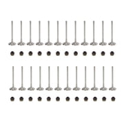 GELUOXI 24x Intake & Exhaust Valves Set for VW Audi A4 S4 S5 A6 Q5 Q7 2.8 3.2 3.0 TFSI 06E109601