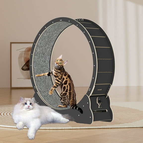 GELUOXI 39.3" Cat Exercise Wheel, Low Noise Cat Wheel Exerciser, Safety Cat Treadmill with Lock (Black)