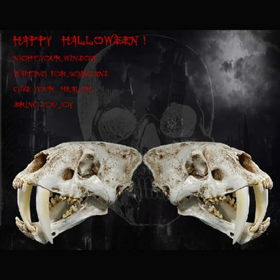 GENEMA 1:1 Saber-Toothed Tiger Resin Replica Skull Head Model Home Bar Decor Halloween Decoration Gifts