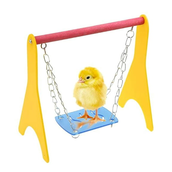 GENEMA Acrylic Swing Chicken Toy with Hanging Chain Baby Chick Perch Cage Training Stand Holder for Bird Parrot Hens Macaw