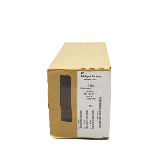 GENERAL ELECTRIC IC660BBR101Q1 NSFS