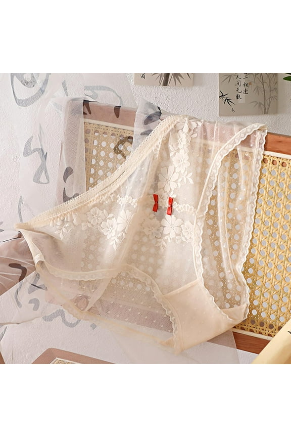 Women's Low - rise Brief Underwear with Sheer Mesh Fabric, Floral Lace Accents and Polka Dot Details for Daily Wear