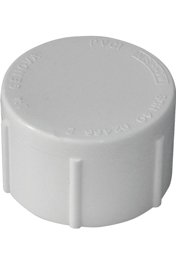 GENOVA 300 Series 30165 Pipe Cap 1/2 in FIP White