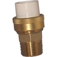 thumbnail image 1 of Genova Products CPVC Transition MIP Union - 3/4 In. X 3/4 In., 1 of 1