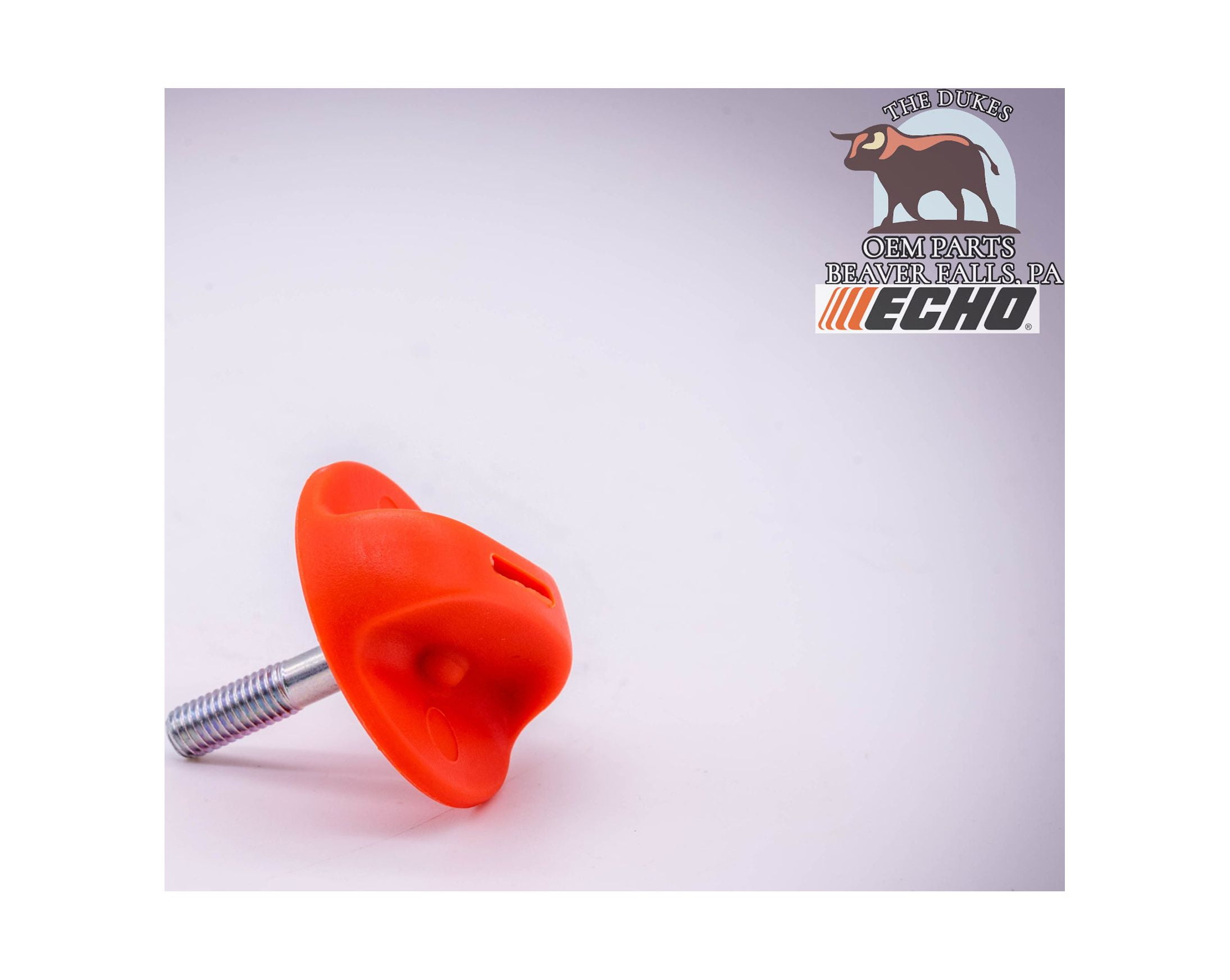 GENUINE ECHO AIR FILTER COVER SCREW FITS SRM225 GT225 + MORE V299000250