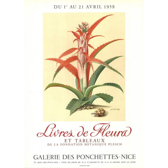 GEORG DIONYSIUS EHRET Flower Books and Paintings from the Plesch Botanical Foundation, 1958