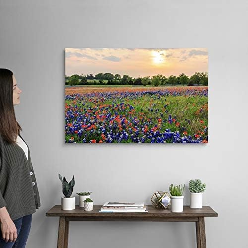 GEROBOOM Field of Texas Wildflowers Canvas Wall Art Print Countryside