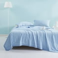 thumbnail image 1 of GERsome Cooling Comforter for Summer - 39"x31.5" Thin Comforter Bed Cover for Hot Sleepers, Soft Lightweight Bedspread Comforter for Summer Spring, Blue, 1 of 6