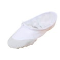 thumbnail image 1 of GERsome Girls Ballet Shoes Stretch Canvas Performa Dance Slippers Split Sole Shoes, 1 of 8