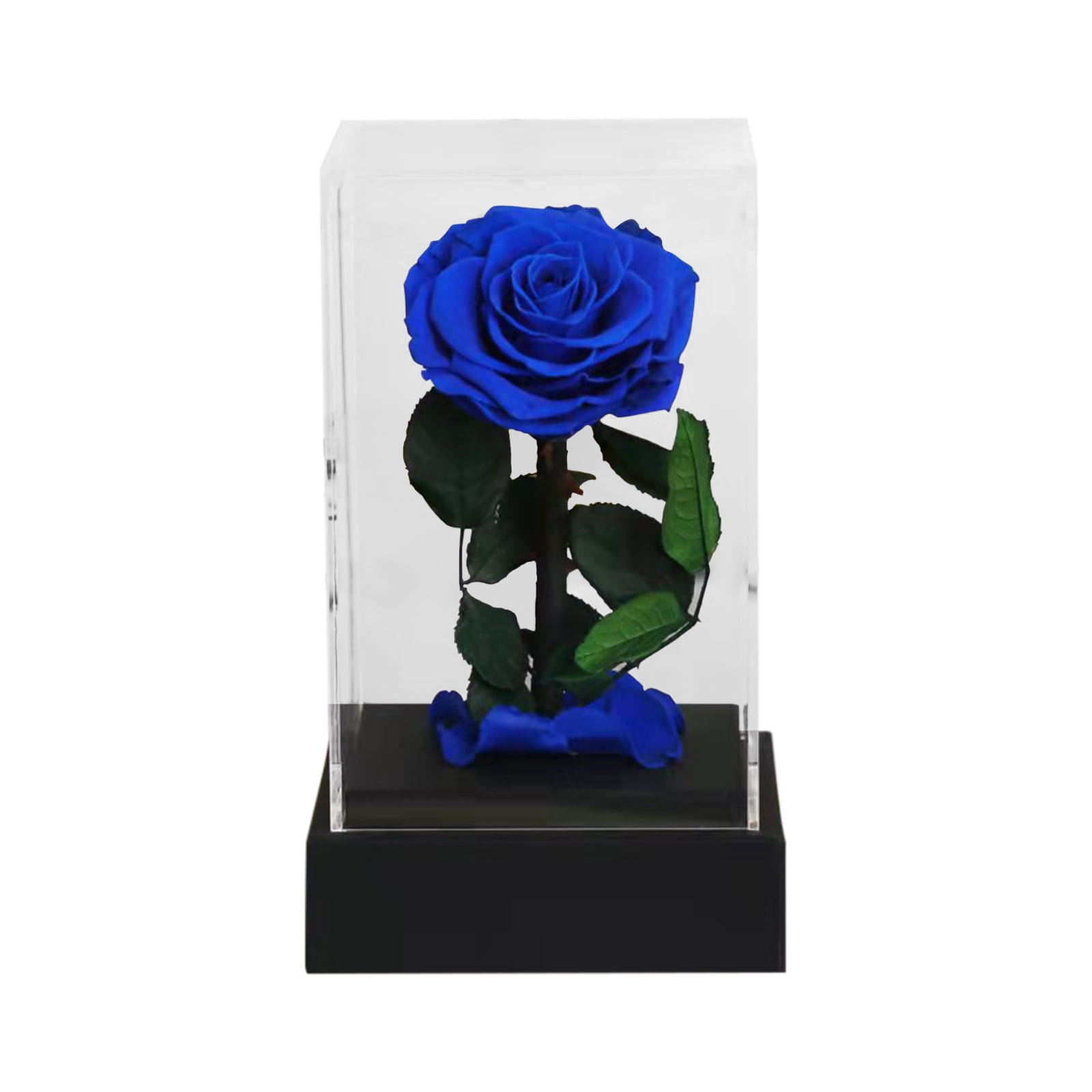 GERsome Preserved Flower Rose in Glass Dome Preserved Roses Never ...