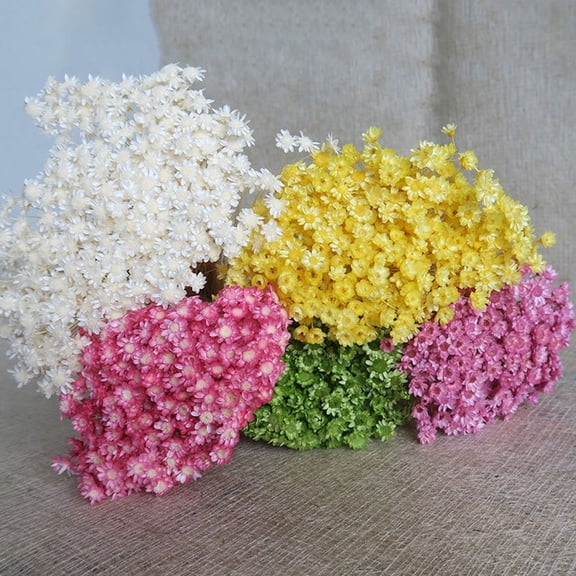 GETAJGHSD 100pcs Small Dried Daisies Natural Floral for Decoration Yellow Home Decoration