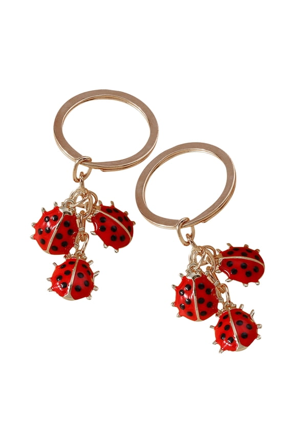 Lovely Ladybug Design Key Holder Ornament 2Pcs