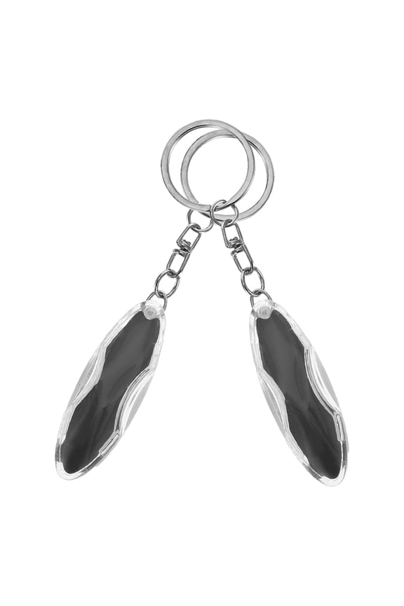 2-Pack Portable Static Remover Keychain, Black ABS Electrostatic Discharge Tool for Static Elimination
