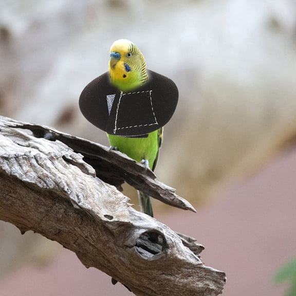 GETAJGHSD 4Pcs Pet Bird Anti Bite Collar Comfortable Feather Plucking Prevention