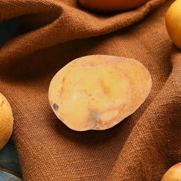 GETAJGHSD 4pcs Simulation Potato Foam Potato Shape Adornments For Restaurant Decoration